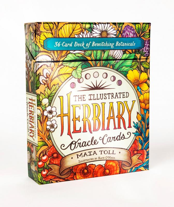 illustrated herbs and plants