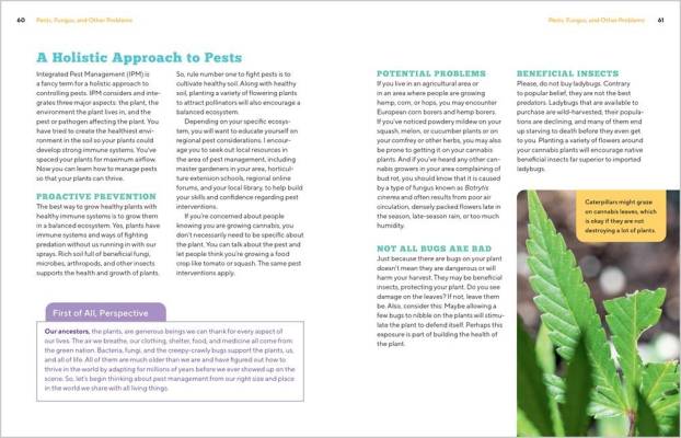 Wide white page of text describing strategies for dealing with pests; cannabis leaf photograph in lower right corner.