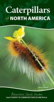 Caterpillars of North America: Easily Identify 90 Common Butterflies and Moths