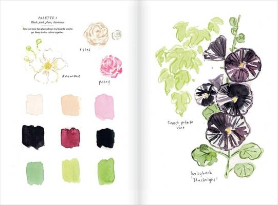 Interior illustration of hollyhocks.