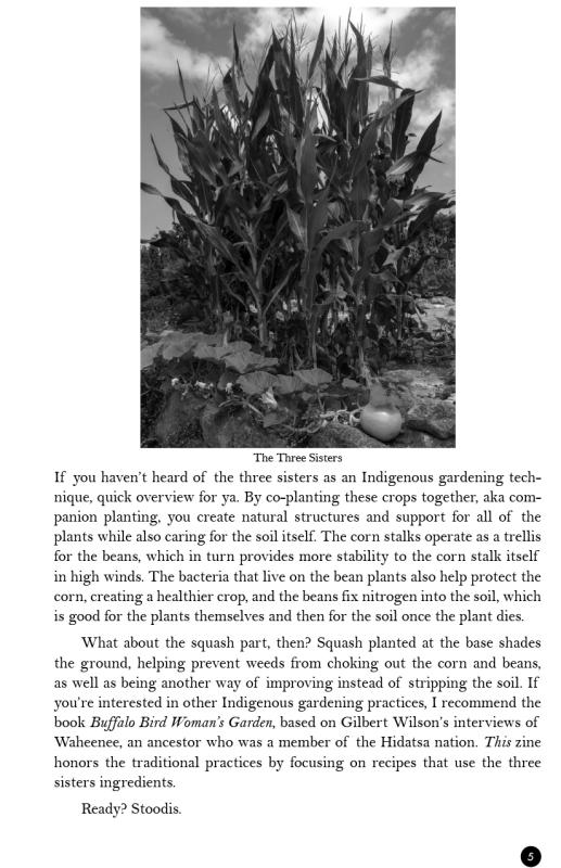 Eat Native: Savory Recipes Made with the Three Sisters—Corn, Beans, and Squash image #2