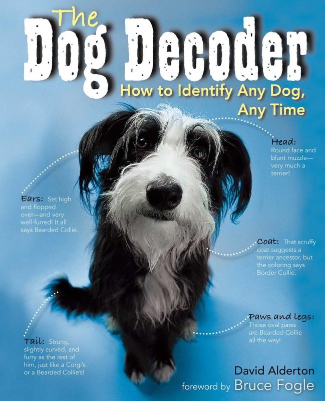 Cover with photo of a dog