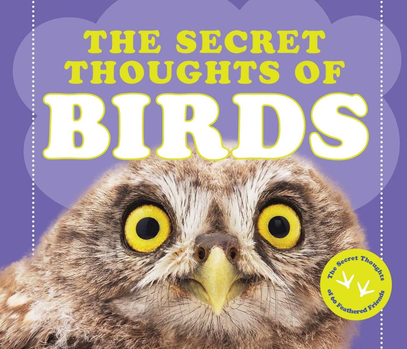 purple cover with bold white text and close up of an owl