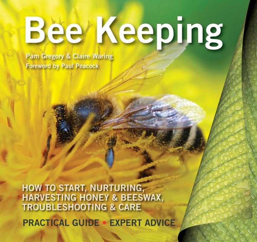 Cover with photo of a bee in a flower