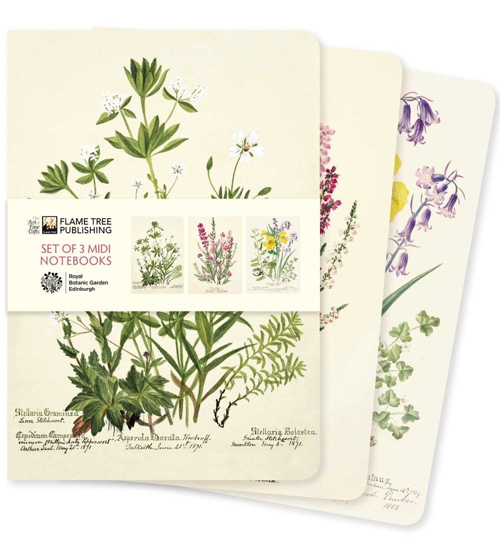 three sample journals with botanicals and flowers and a band holding them together