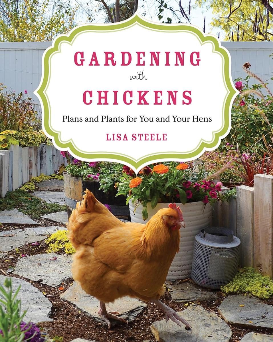 chicken walking through a garden with red text
