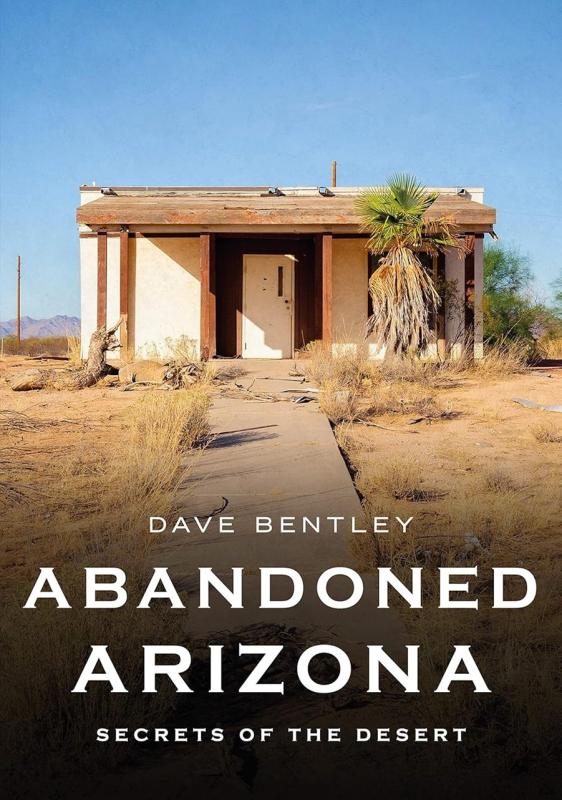 Abandoned house under a blue sky, in the desert, with a palm tree in the front