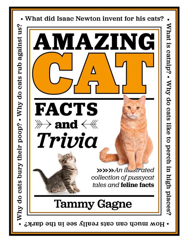 beige background with words around the central info text with a kitten and a cat in the center.