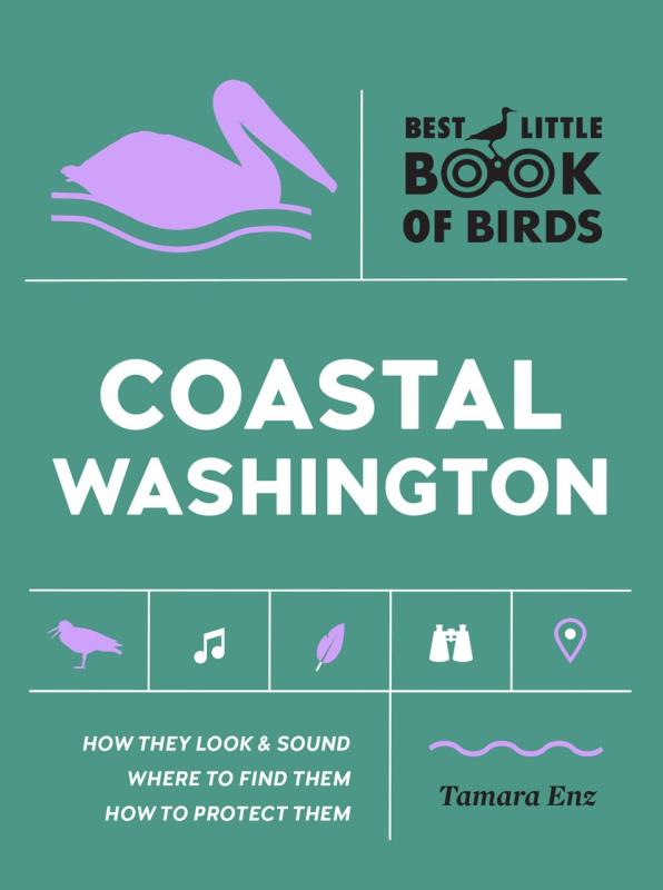 sage green background with some images in a sort of grid-- a pelican, a bird, an eight note, a feather, binoculars, and a location symbol