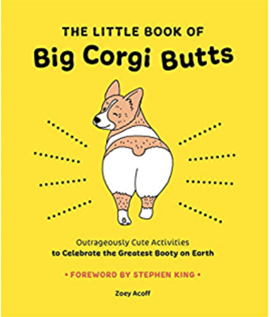 a corgi showing her cute butt. 