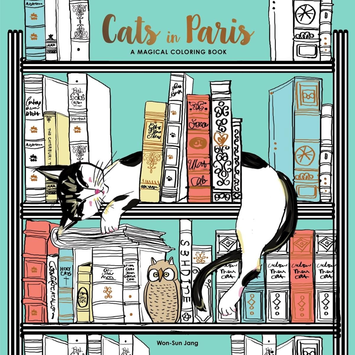 cat in a bookshelf