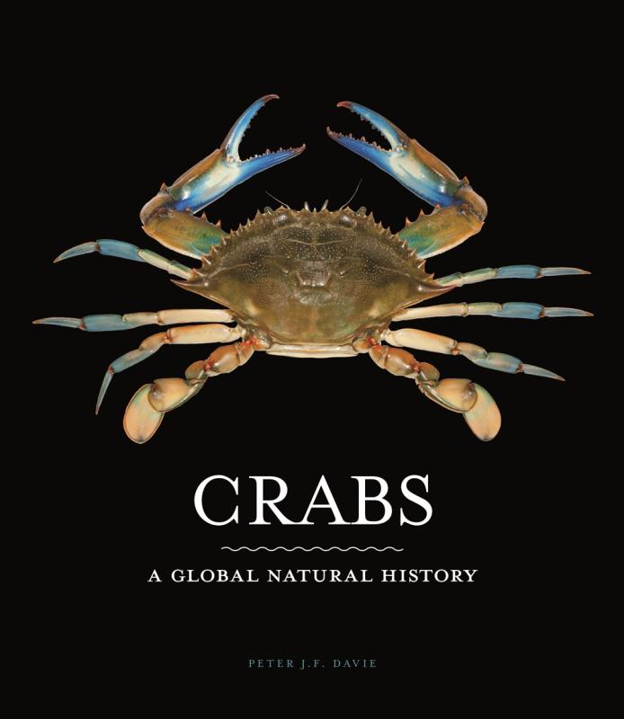crab over black