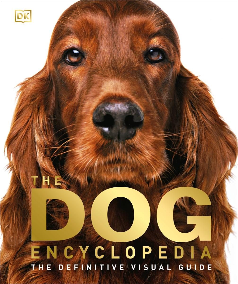 Droopy eared brown doggo