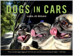 Dogs in Cars