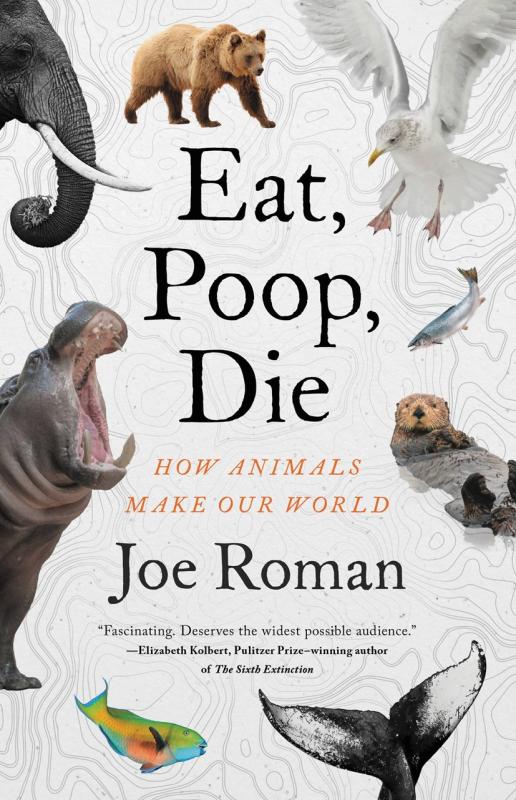 animals all around of all kinds, over a white topographic background