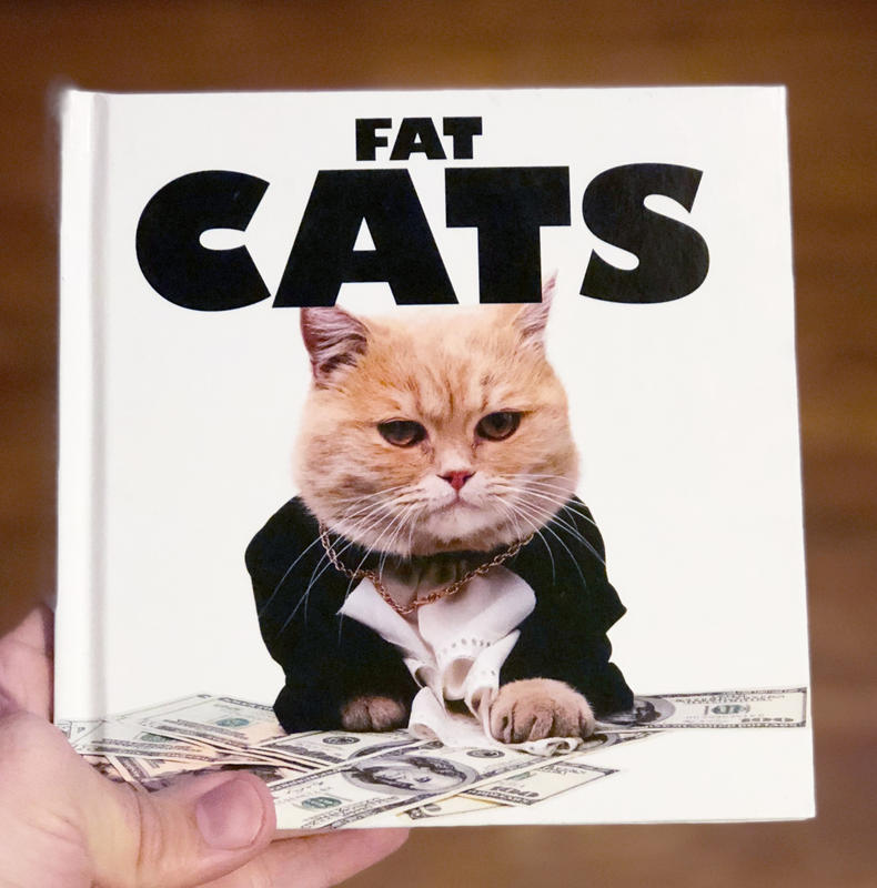 A book cover of a cat in a business suit crawling on some money