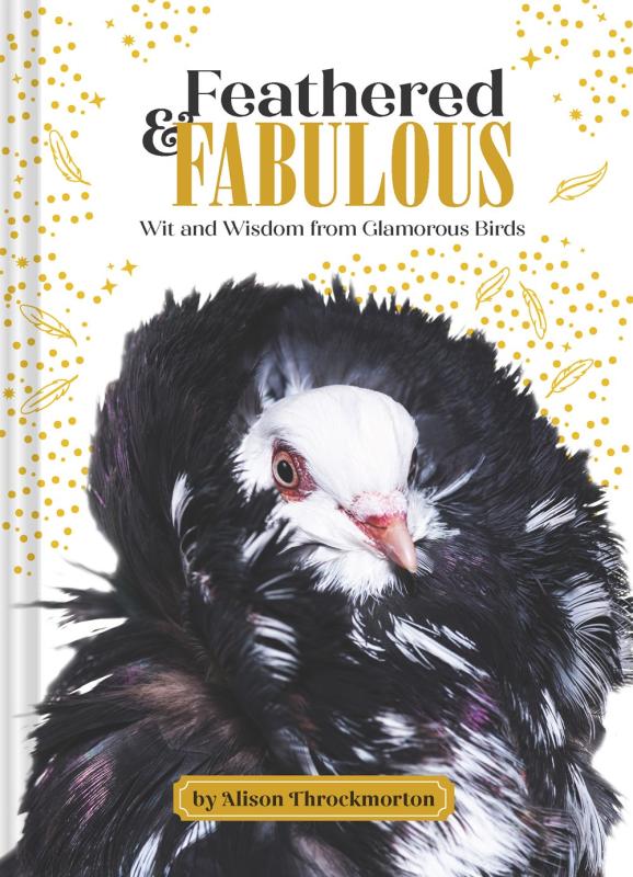 pigeon in feathered boa over a beige and dot and feather patterned background