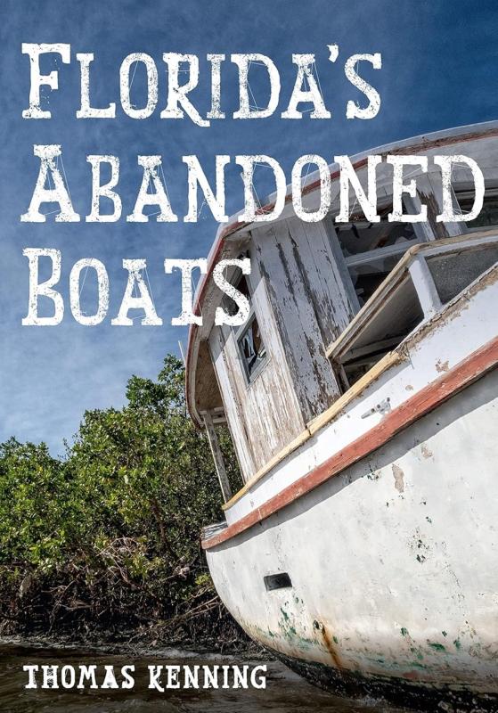 Old boat on the shore, near some shrubbery