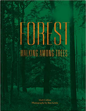 Green cover of trees with orange text