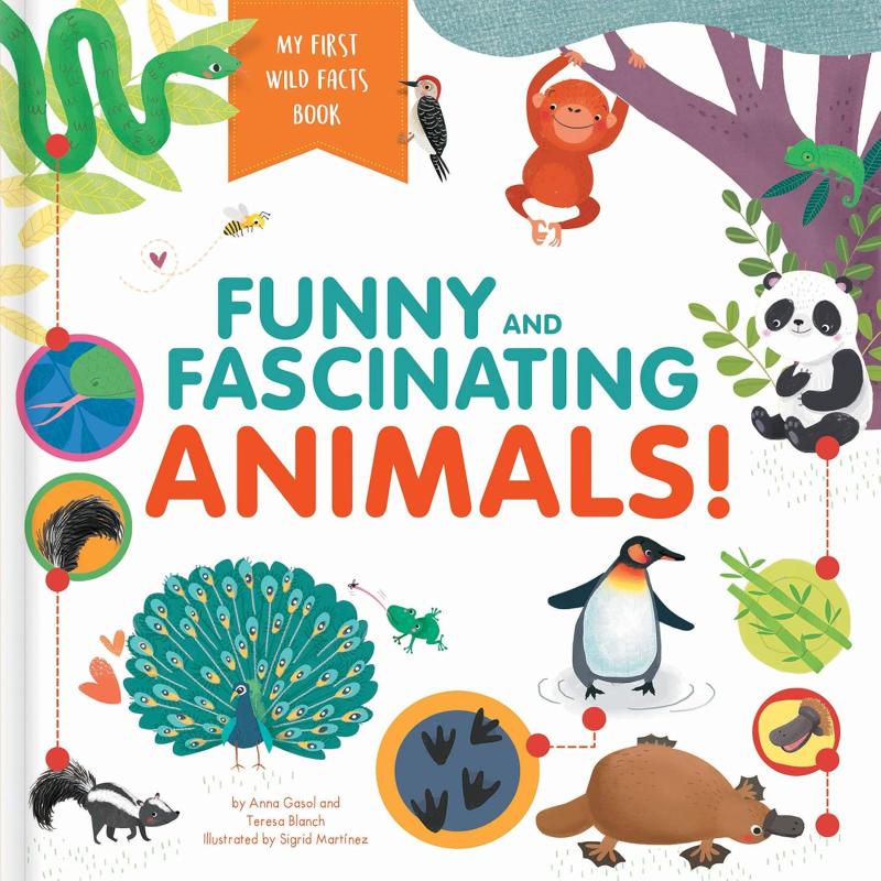 many different animals hanging around, over a white background