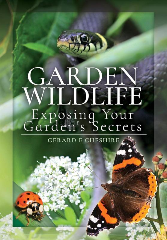 butterfly, ladybug, snake around foliage