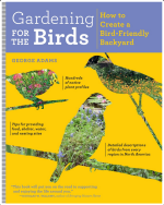 Gardening for the Birds: How to Create a Bird-Friendly Backyard