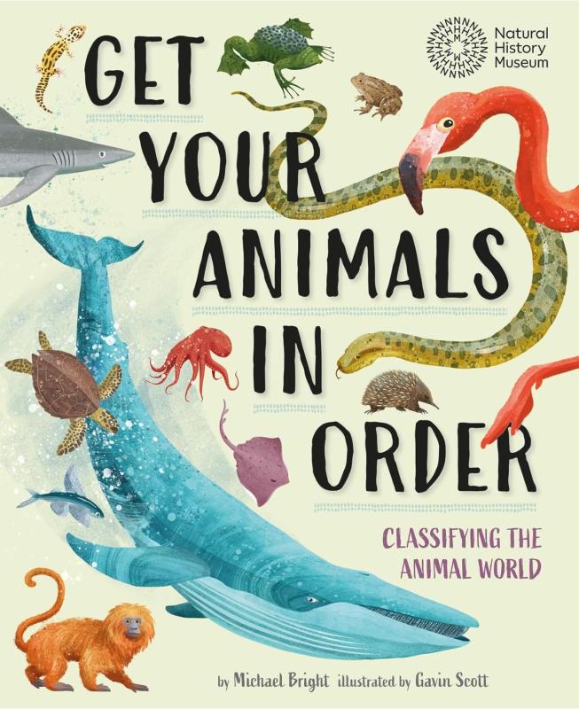 Many animals including a whale, a large snake, a monkey and more