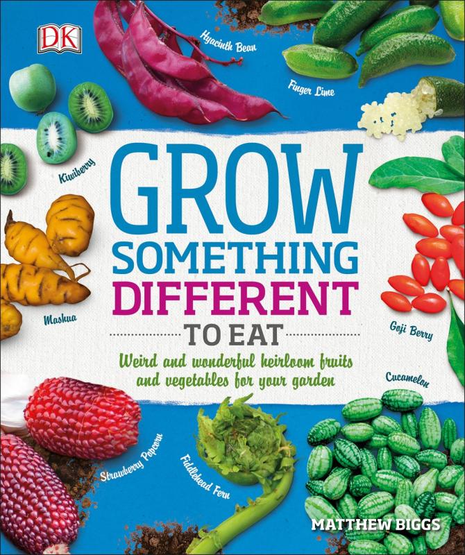 interesting foods in a circle over a white banner and blue background