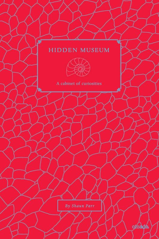 red cracked background over with an ammonite shell