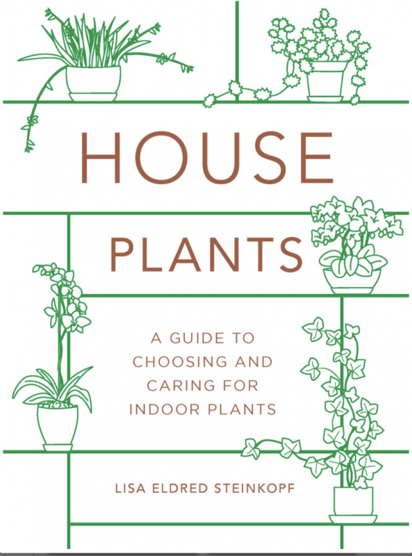 illustrations of houseplants on shelves
