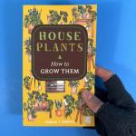 Houseplants & How to Grow Them