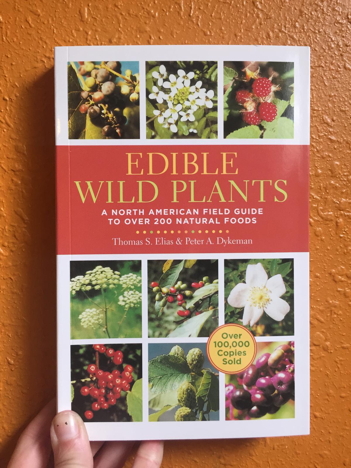 edible-wild-plants-a-north-american-field-guide-to-over-200