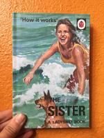 How it Works: The Sister (A Ladybird Book)