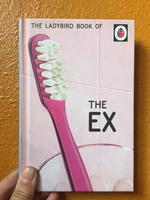 The Ladybird Book of the Ex