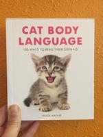 Cat Body Language