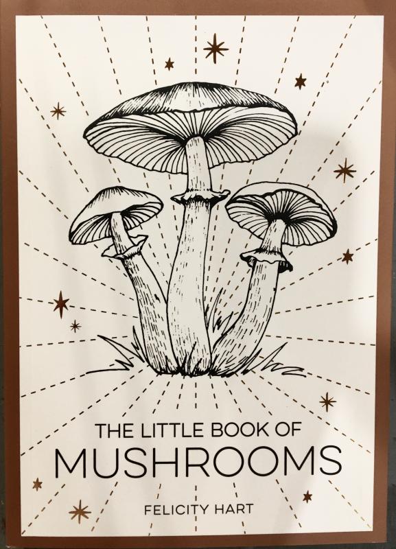 Three powerful mushrooms reaching for the sky