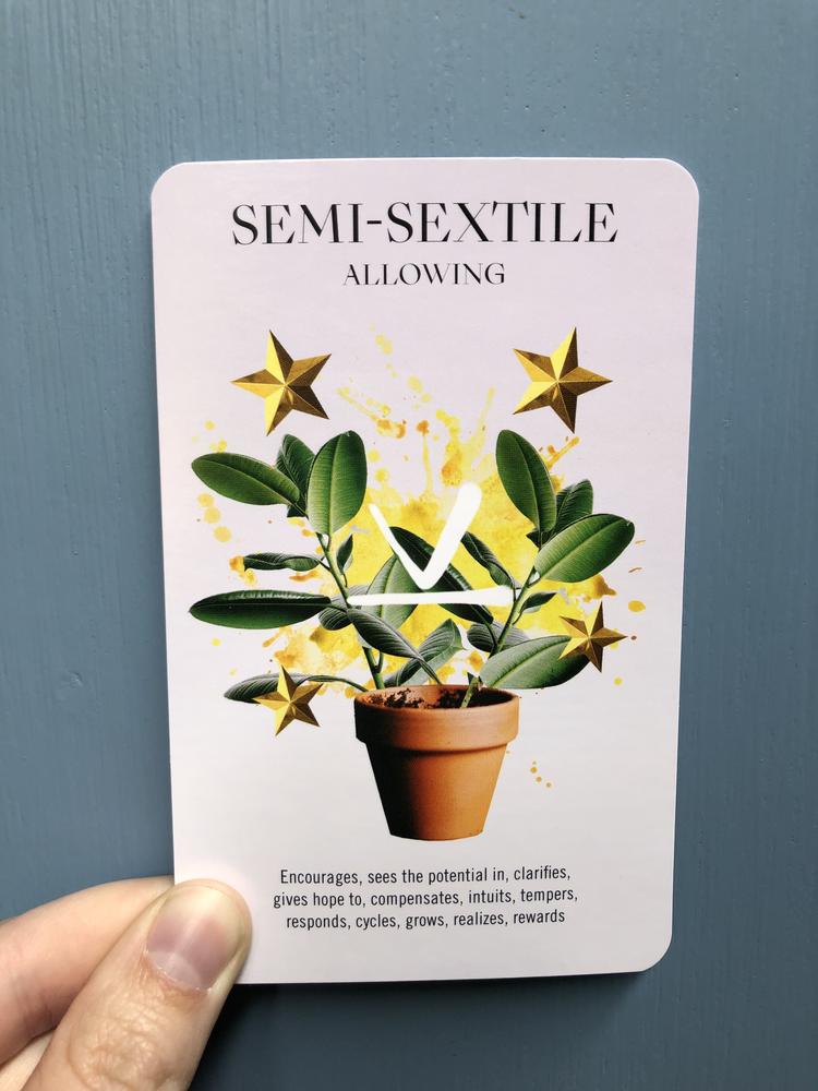 The Semi-Sextile Allowing card, with a potted plant and yellow stars. 