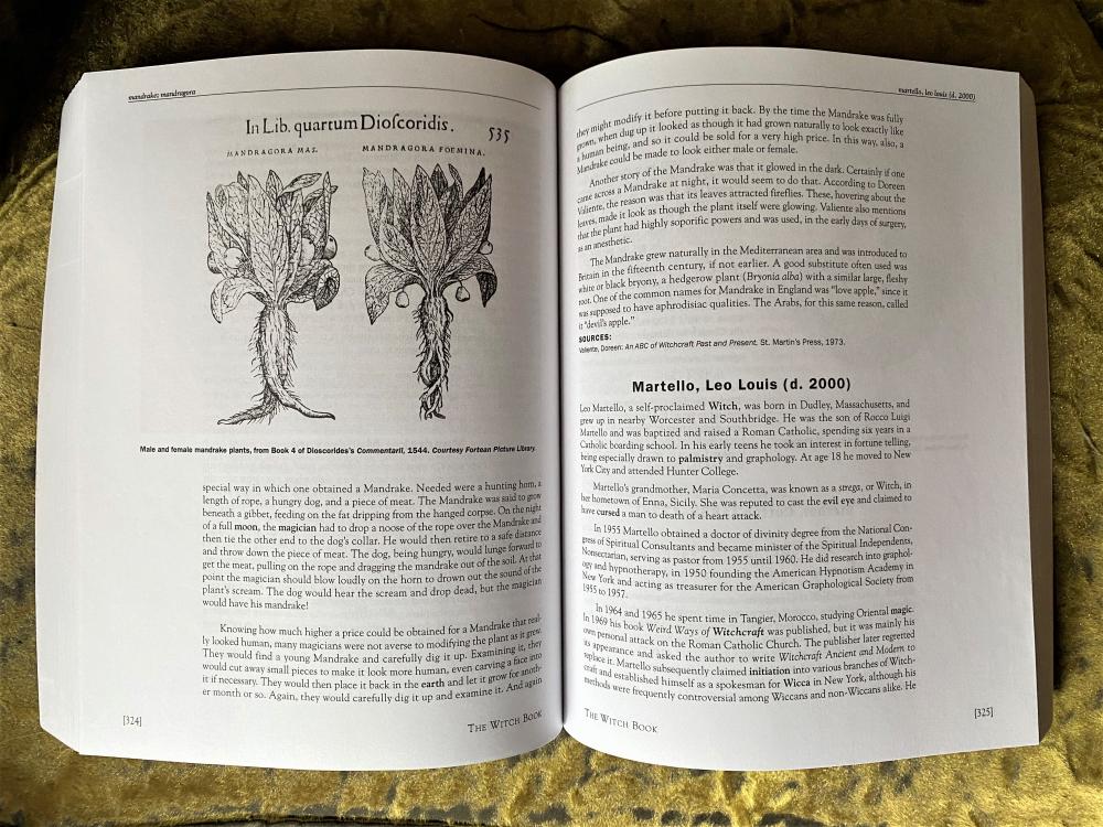 The Witch Book: The Encyclopedia of Witchcraft, Wicca, and Neo-paganism image #3