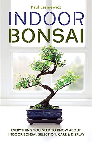 Indoor Bonsai