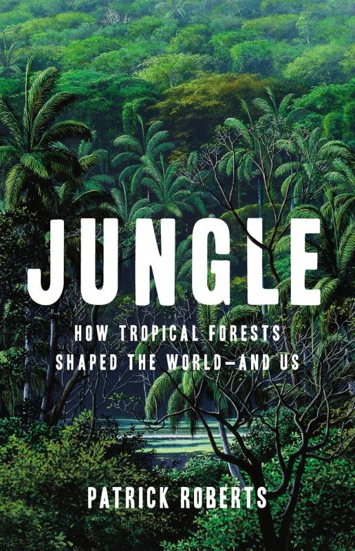 dense jungle canopy, with a small clearing revealing a river