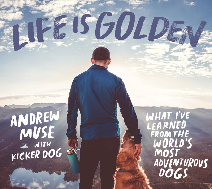 back shot of a person petting a doggo, overlooking a mountainous horizon 