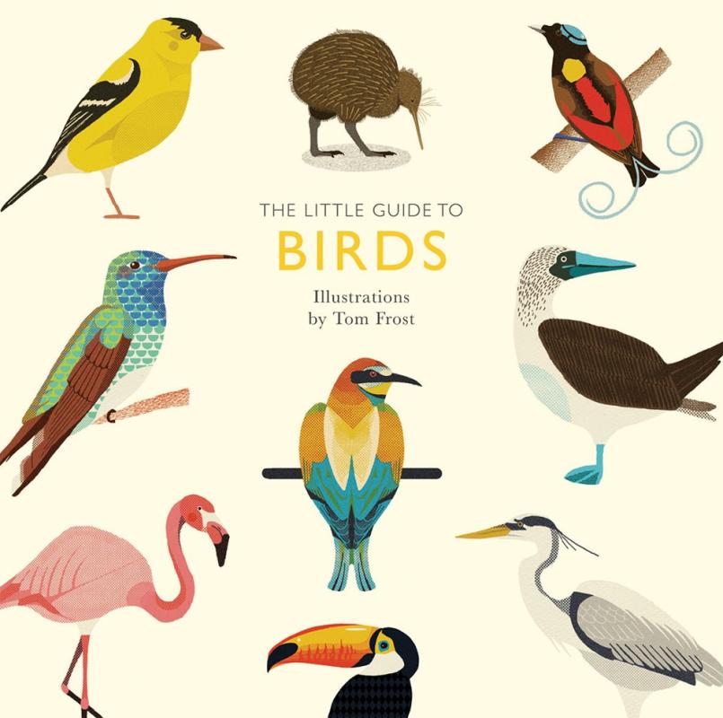 Beige background with images of nine different birds geometrically organized on the cover