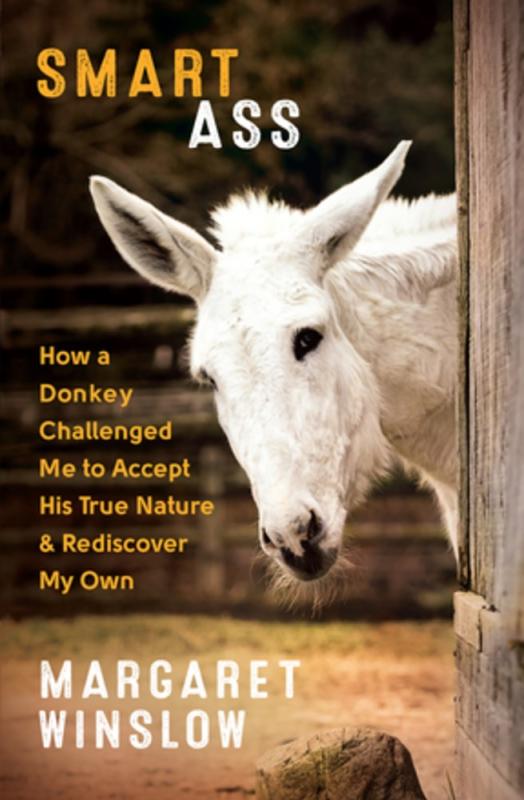 white donkey sidle