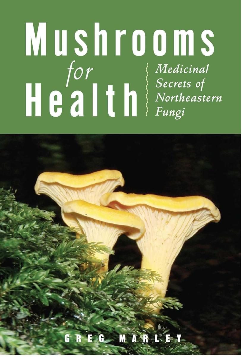 Three colorful chanterelle mushrooms next to some foliage over a dark background