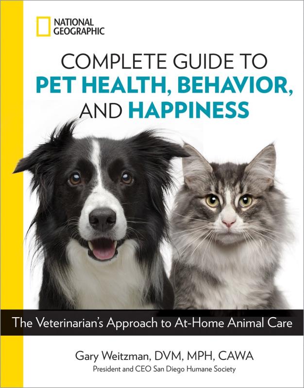 doggo and kitty cat over a white background and a yellow spine