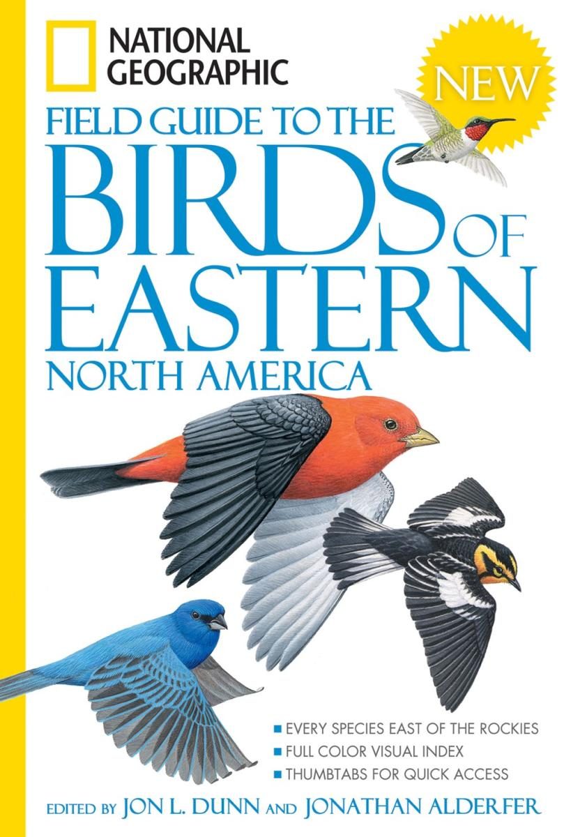 four birds over a white background and a yellow spine