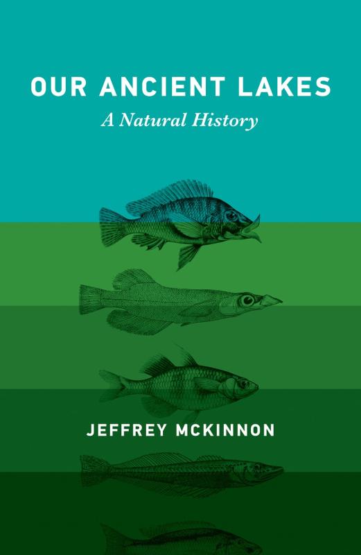 progressively darker shades of green in the background containing line images of different fish