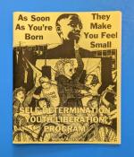 As Soon as You're Born They Make You Feel Small: Self-Determination Youth Liberation Program