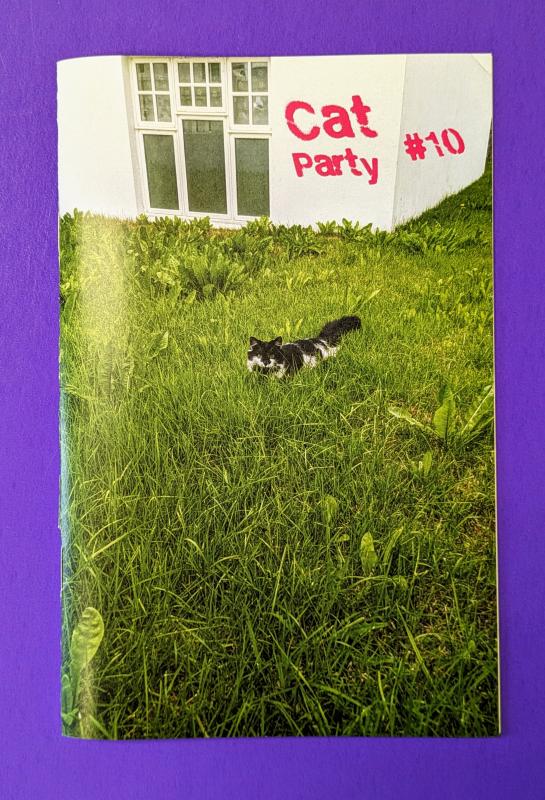 Cat Party #10