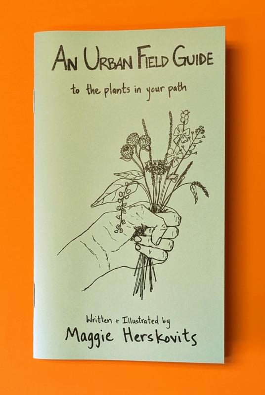 An Urban Field Guide to the Plants in Your Path